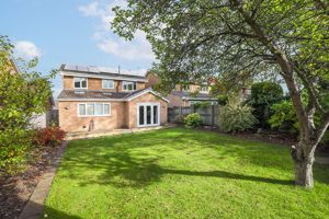 Photo 13- click for photo gallery